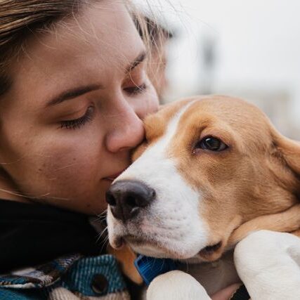 pexels-nikita-krasnov-5999644-7438895